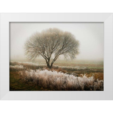 Tranquility I White Modern Wood Framed Art Print by Geyman, Vitaly