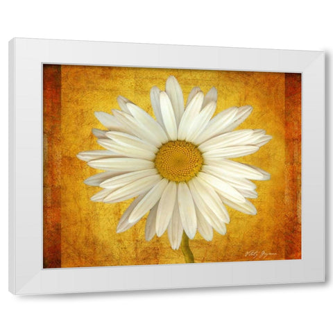 Daisy in Gold White Modern Wood Framed Art Print by Geyman, Vitaly
