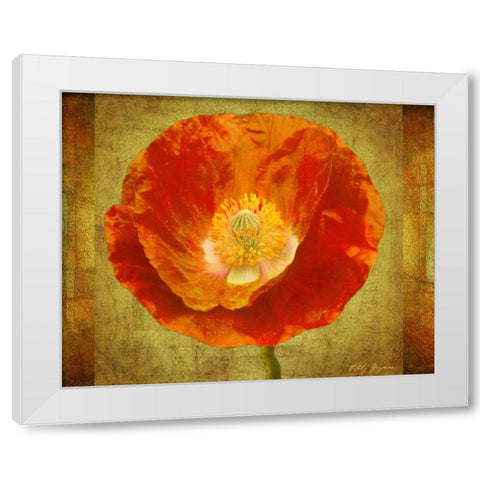 Sun Poppy I White Modern Wood Framed Art Print by Geyman, Vitaly