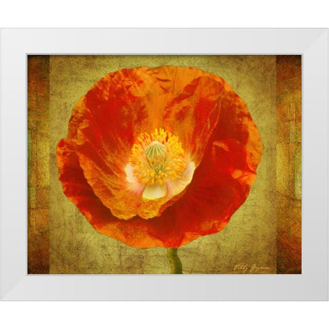 Sun Poppy I White Modern Wood Framed Art Print by Geyman, Vitaly