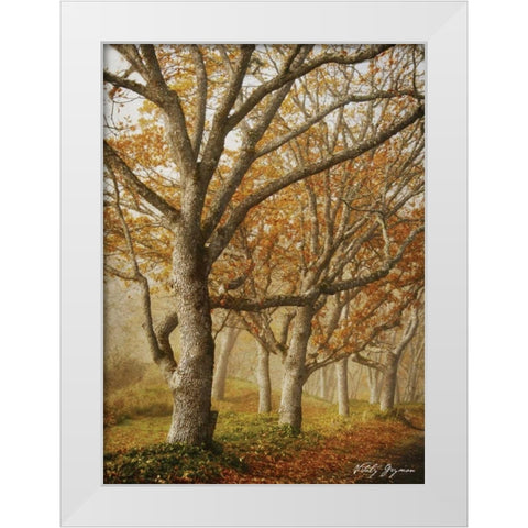 In the Mist I White Modern Wood Framed Art Print by Geyman, Vitaly