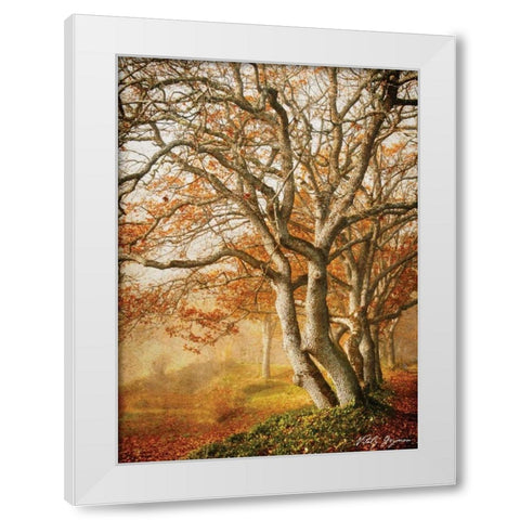 In the Mist II White Modern Wood Framed Art Print by Geyman, Vitaly