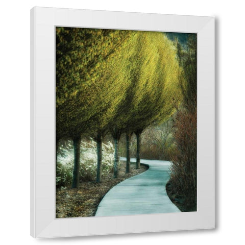 Evening Glow I White Modern Wood Framed Art Print by Geyman, Vitaly