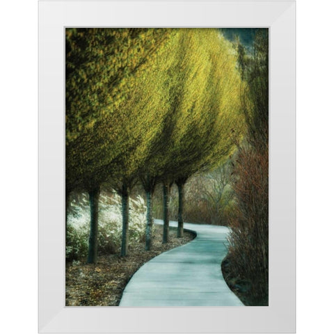 Evening Glow I White Modern Wood Framed Art Print by Geyman, Vitaly