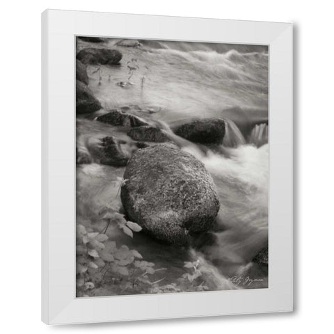 Flowing Waters VI White Modern Wood Framed Art Print by Geyman, Vitaly