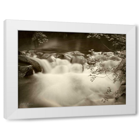 Sepia Waters IV White Modern Wood Framed Art Print by Geyman, Vitaly