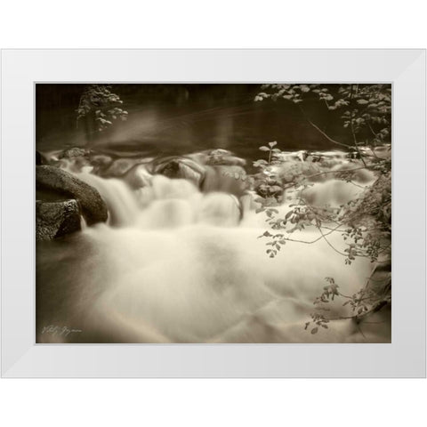 Sepia Waters IV White Modern Wood Framed Art Print by Geyman, Vitaly
