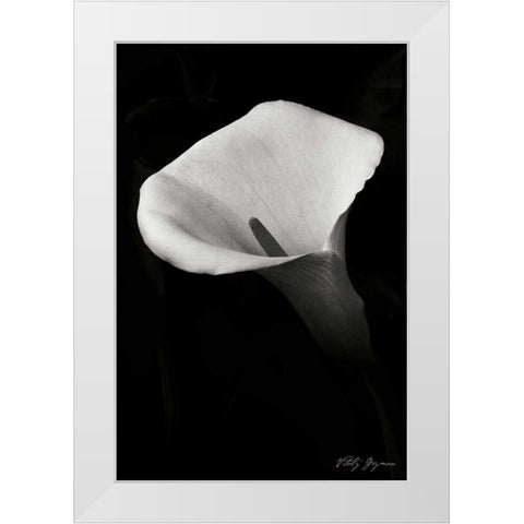 Calla Lily II White Modern Wood Framed Art Print by Geyman, Vitaly