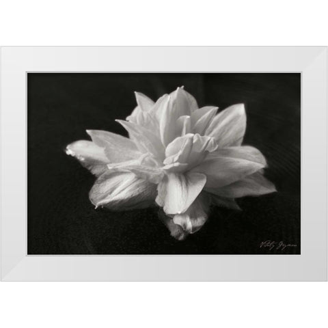 Water Star White Modern Wood Framed Art Print by Geyman, Vitaly