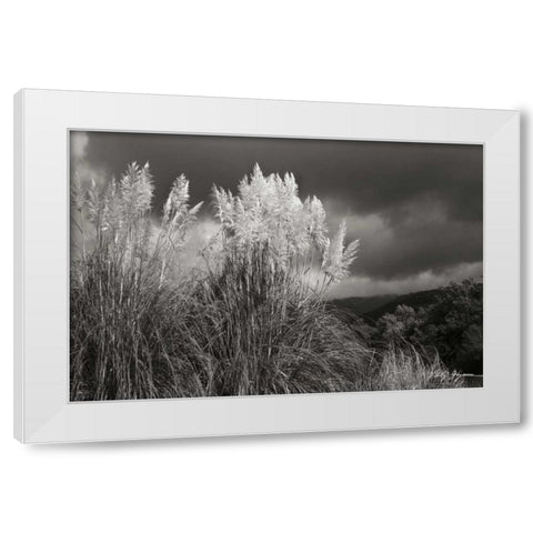 White Towers I BandW White Modern Wood Framed Art Print by Geyman, Vitaly