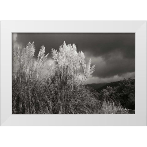 White Towers I BandW White Modern Wood Framed Art Print by Geyman, Vitaly