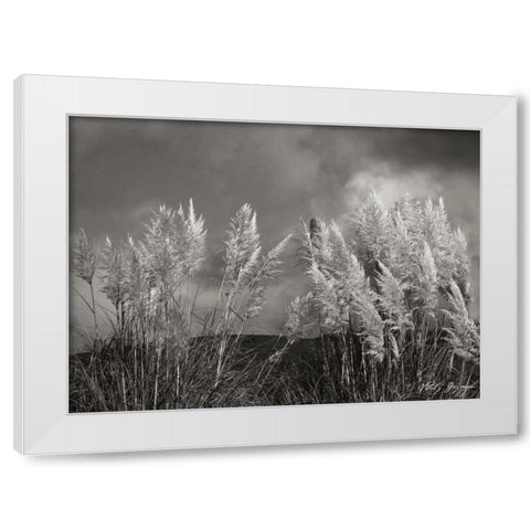 White Towers II BandW White Modern Wood Framed Art Print by Geyman, Vitaly
