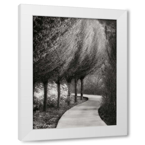 Evening Glow I BandW White Modern Wood Framed Art Print by Geyman, Vitaly