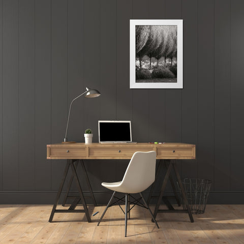 Evening Glow II BandW White Modern Wood Framed Art Print by Geyman, Vitaly