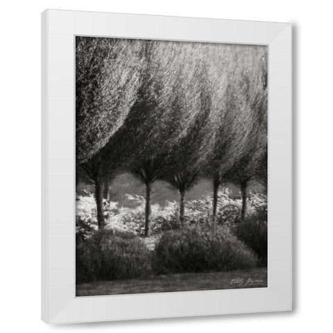 Evening Glow II BandW White Modern Wood Framed Art Print by Geyman, Vitaly