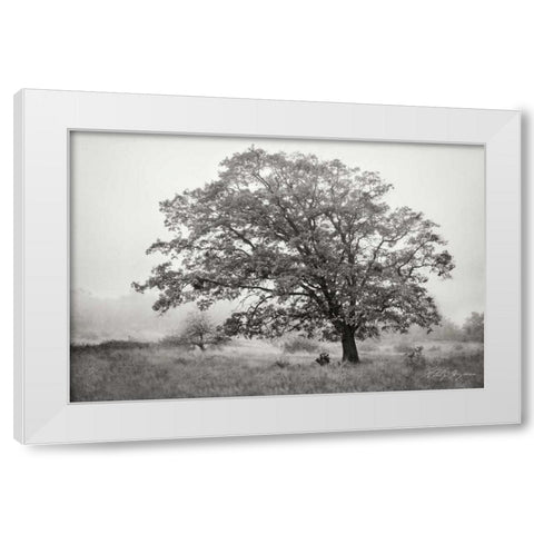 Burning Oak V BandW White Modern Wood Framed Art Print by Geyman, Vitaly