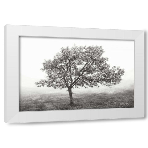Burning Oak I BandW White Modern Wood Framed Art Print by Geyman, Vitaly