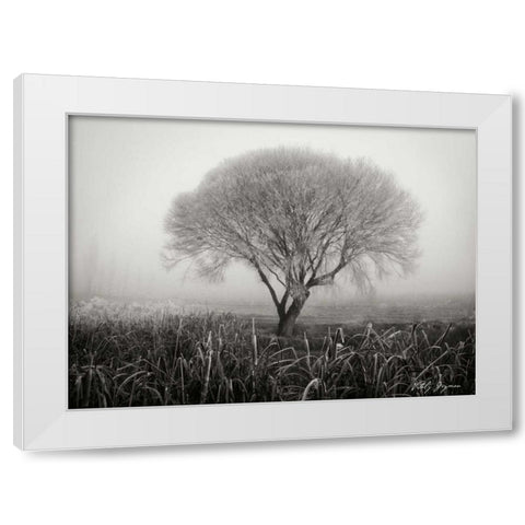 Tranquility III BandW White Modern Wood Framed Art Print by Geyman, Vitaly