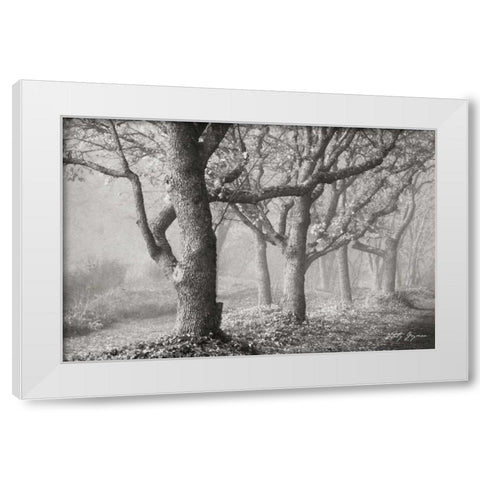 Tree in the Mist BandW White Modern Wood Framed Art Print by Geyman, Vitaly