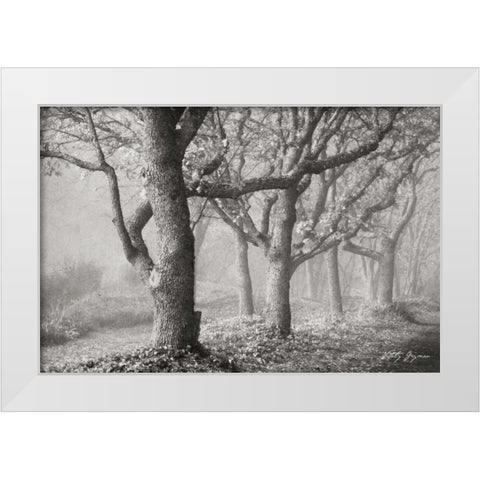 Tree in the Mist BandW White Modern Wood Framed Art Print by Geyman, Vitaly