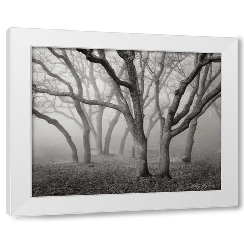 Misty Dance BandW White Modern Wood Framed Art Print by Geyman, Vitaly