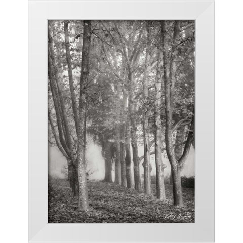 Tree Parade II BandW White Modern Wood Framed Art Print by Geyman, Vitaly