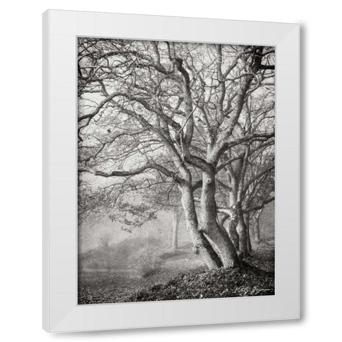 Tree in the Mist VI BandW White Modern Wood Framed Art Print by Geyman, Vitaly
