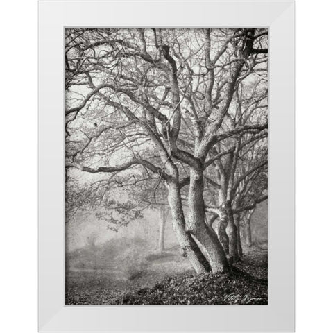 Tree in the Mist VI BandW White Modern Wood Framed Art Print by Geyman, Vitaly
