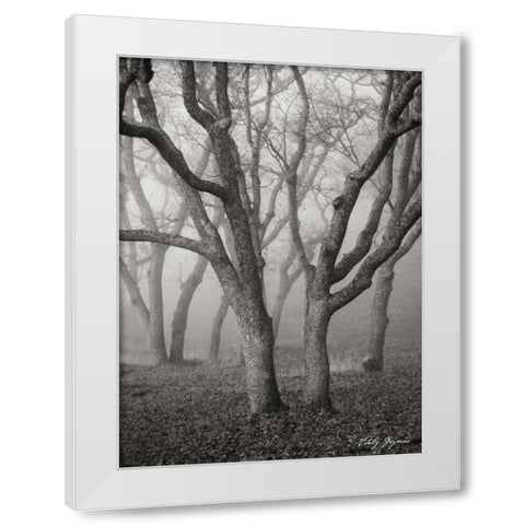 Misty Dance II BandW White Modern Wood Framed Art Print by Geyman, Vitaly