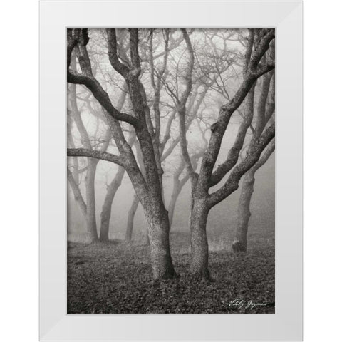 Misty Dance II BandW White Modern Wood Framed Art Print by Geyman, Vitaly