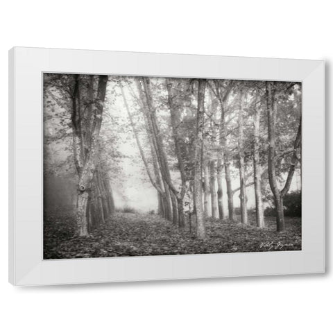Tree Parade I BandW White Modern Wood Framed Art Print by Geyman, Vitaly