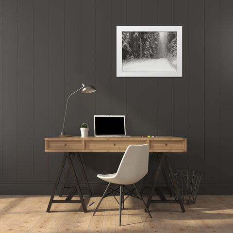 Winter Pine Tree Paradise BandW White Modern Wood Framed Art Print by Geyman, Vitaly
