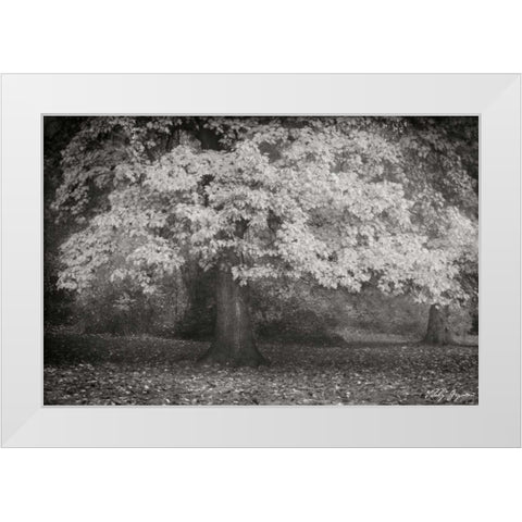 Autumn In Paris BandW White Modern Wood Framed Art Print by Geyman, Vitaly