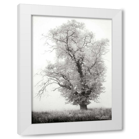 Misty Oak I BandW White Modern Wood Framed Art Print by Geyman, Vitaly