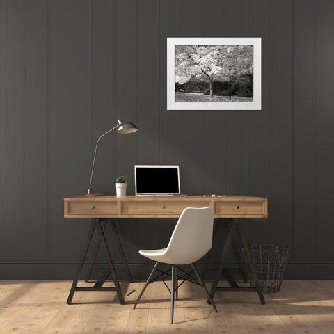 Fall Maple Fever IX BandW White Modern Wood Framed Art Print by Geyman, Vitaly