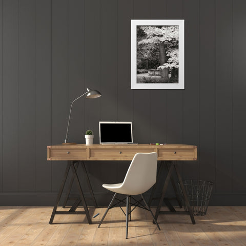 Fall Maple Fever XI BandW White Modern Wood Framed Art Print by Geyman, Vitaly