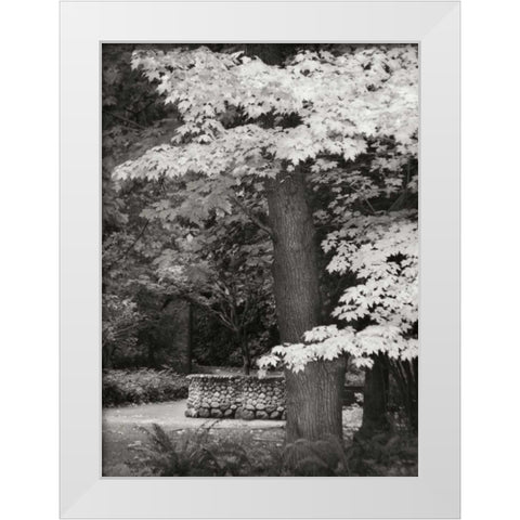 Fall Maple Fever XI BandW White Modern Wood Framed Art Print by Geyman, Vitaly