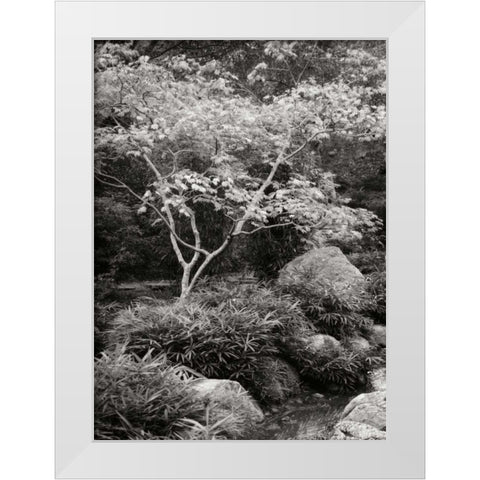 Japanese Park I BandW White Modern Wood Framed Art Print by Geyman, Vitaly