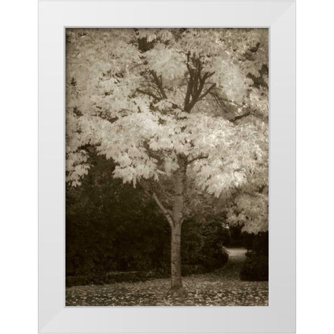 Fall Maple Fever VI White Modern Wood Framed Art Print by Geyman, Vitaly