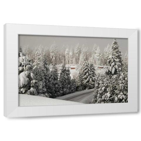 Mt. Ashland Rd White Modern Wood Framed Art Print by Geyman, Vitaly