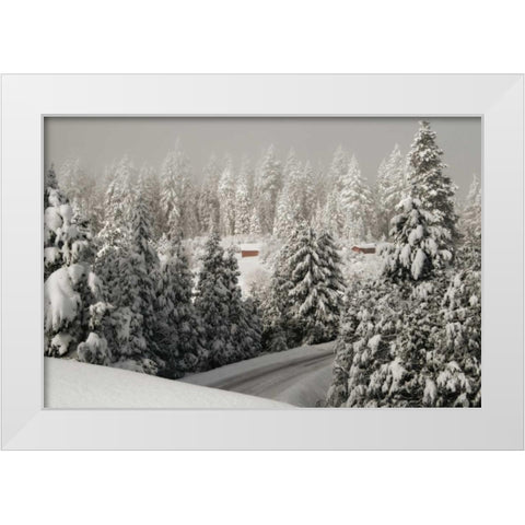 Mt. Ashland Rd White Modern Wood Framed Art Print by Geyman, Vitaly