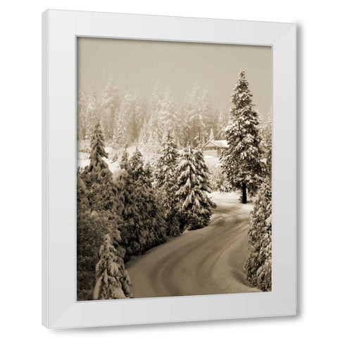Mt. Ashland Rd II White Modern Wood Framed Art Print by Geyman, Vitaly