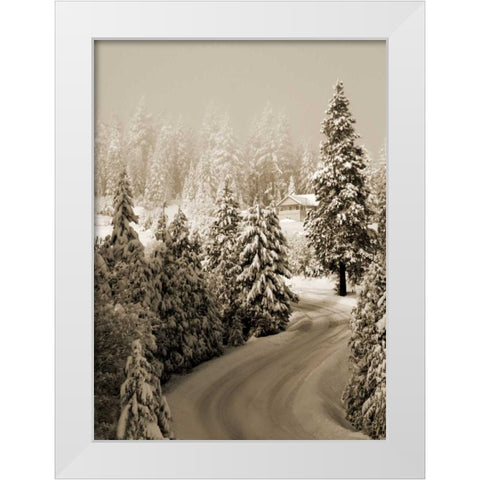 Mt. Ashland Rd II White Modern Wood Framed Art Print by Geyman, Vitaly