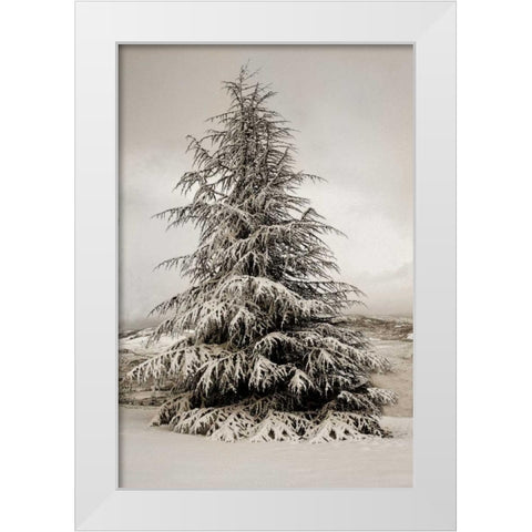 Snow White Pine White Modern Wood Framed Art Print by Geyman, Vitaly