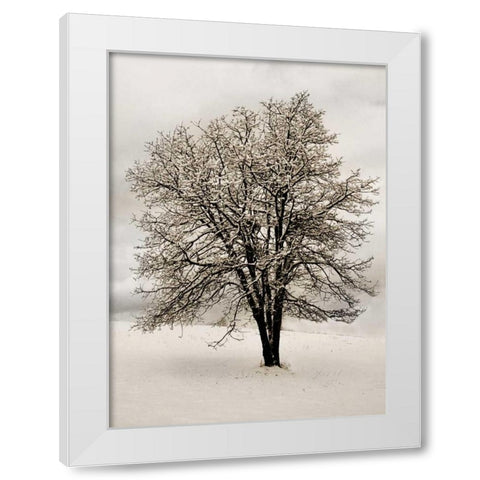 Snow White Tree White Modern Wood Framed Art Print by Geyman, Vitaly