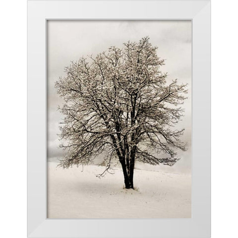 Snow White Tree White Modern Wood Framed Art Print by Geyman, Vitaly