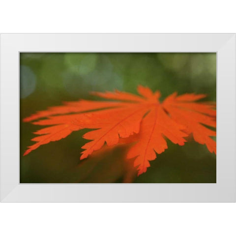 Autumn Leaf Mirage I White Modern Wood Framed Art Print by Geyman, Vitaly