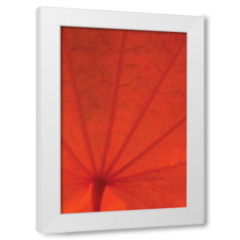 Leaf Romance I White Modern Wood Framed Art Print by Geyman, Vitaly