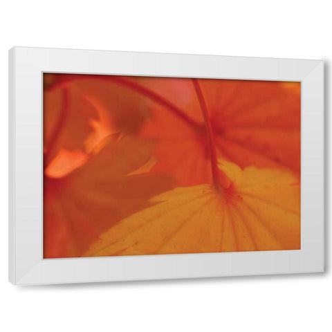 Leaf Romance III White Modern Wood Framed Art Print by Geyman, Vitaly
