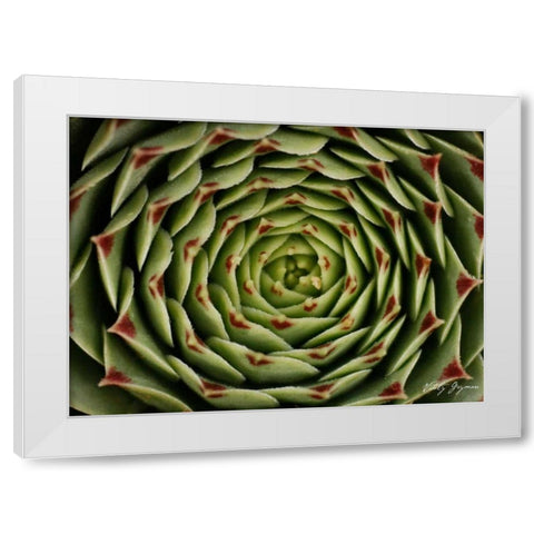 Floral Labyrinth I Color White Modern Wood Framed Art Print by Geyman, Vitaly